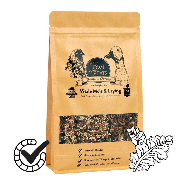 vitale Vitale Molt and Laying